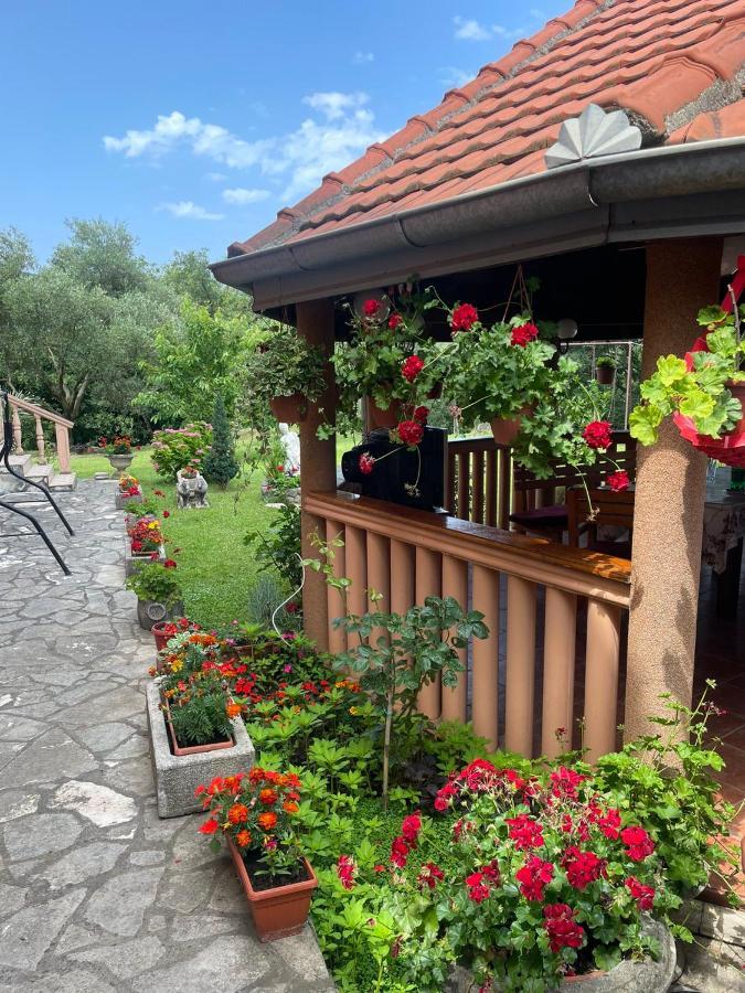 Apartmani "Dukic" Pelinovo Eksteriør bilde
