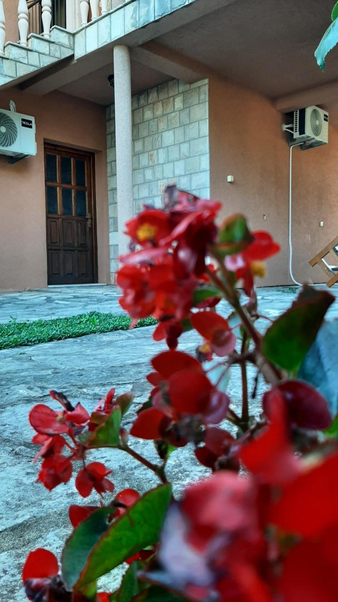 Apartmani "Dukic" Pelinovo Rom bilde
