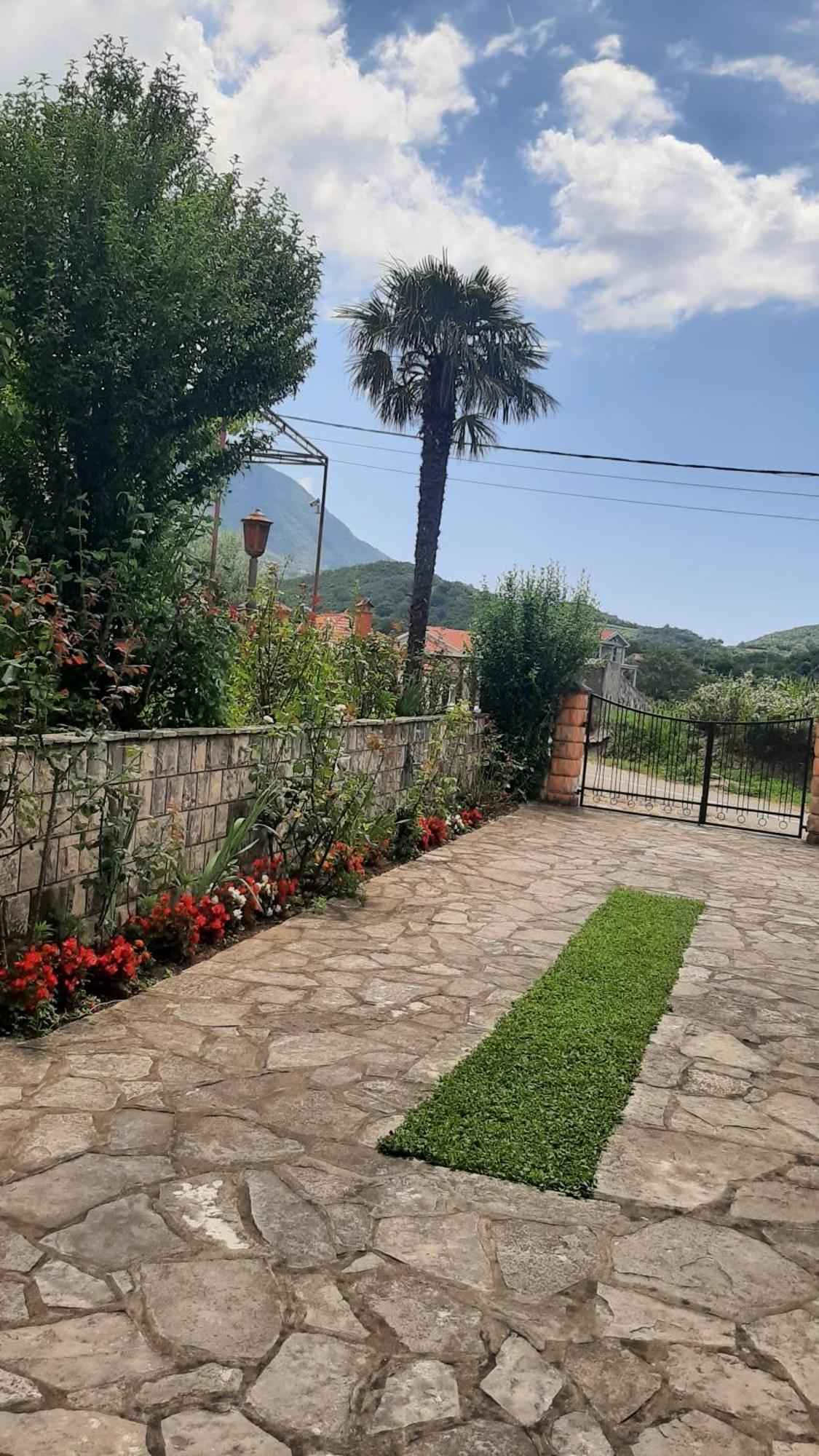 Apartmani "Dukic" Pelinovo Rom bilde