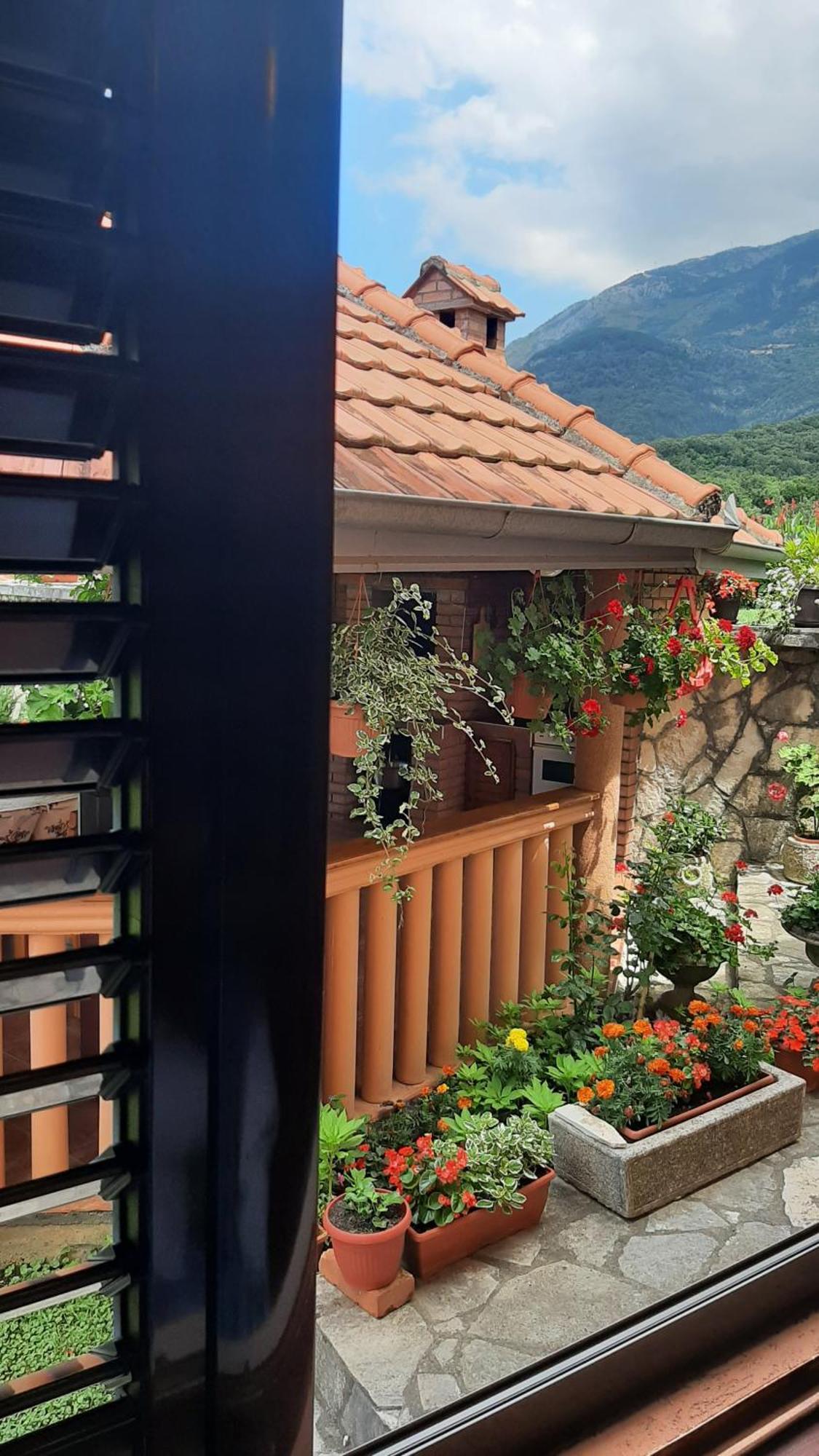 Apartmani "Dukic" Pelinovo Rom bilde