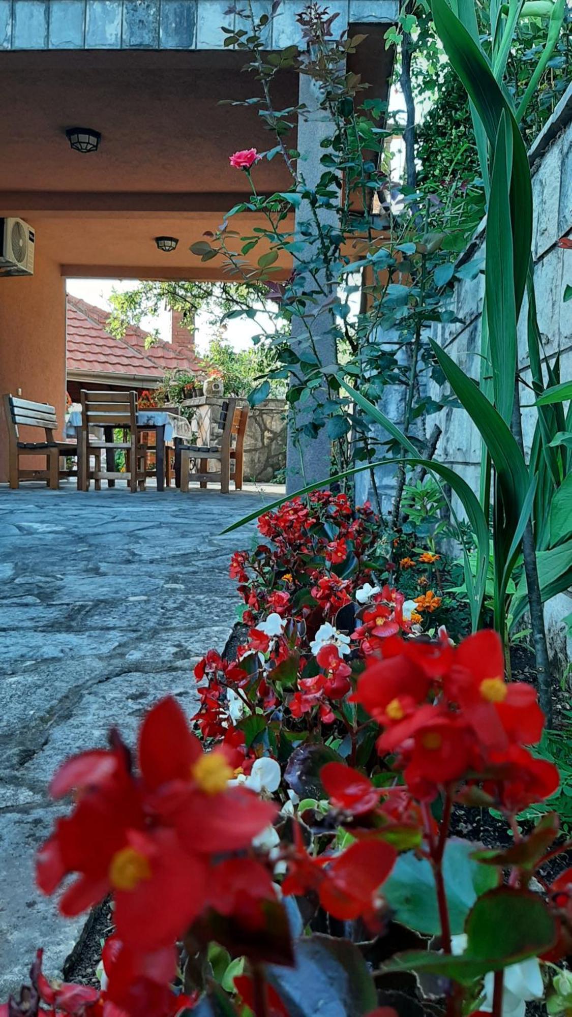 Apartmani "Dukic" Pelinovo Rom bilde