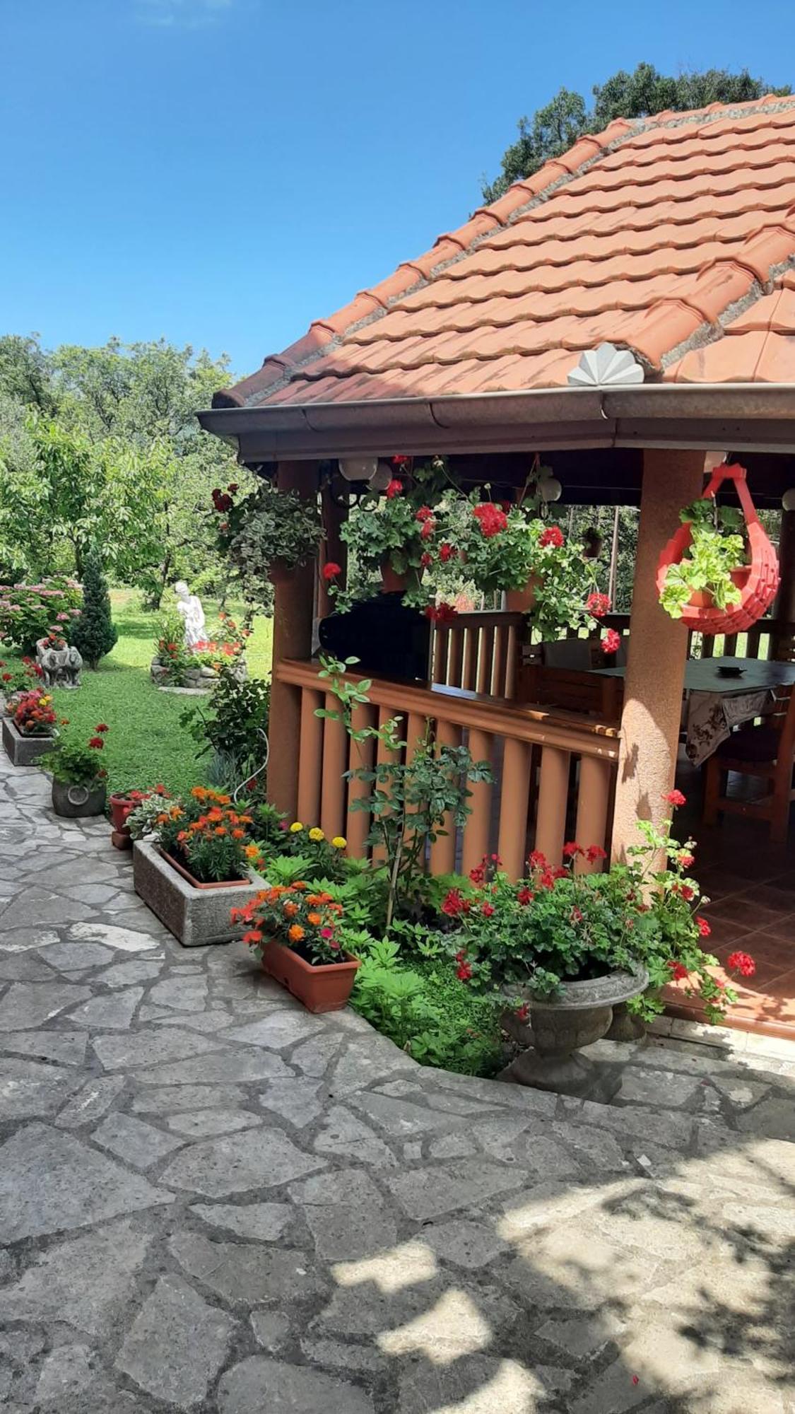 Apartmani "Dukic" Pelinovo Rom bilde