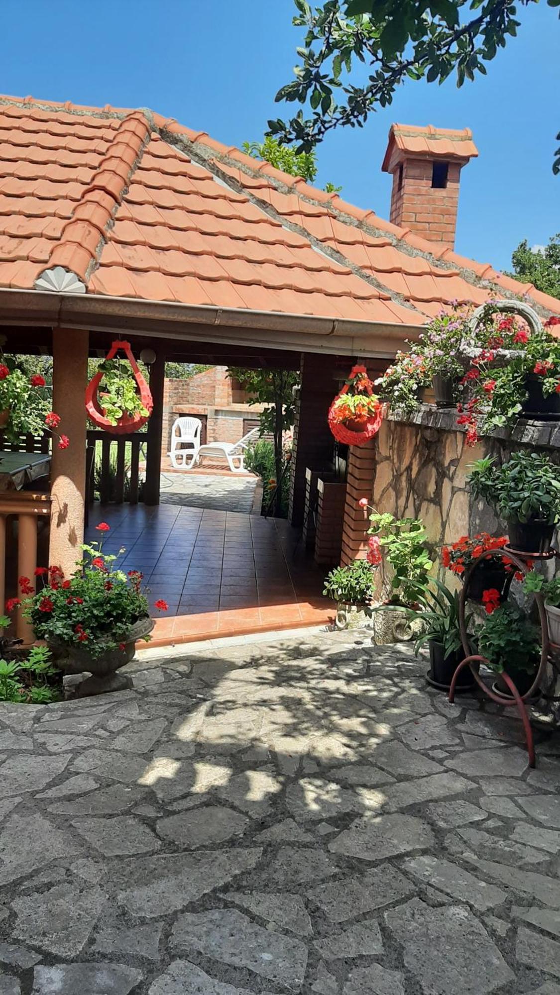 Apartmani "Dukic" Pelinovo Rom bilde