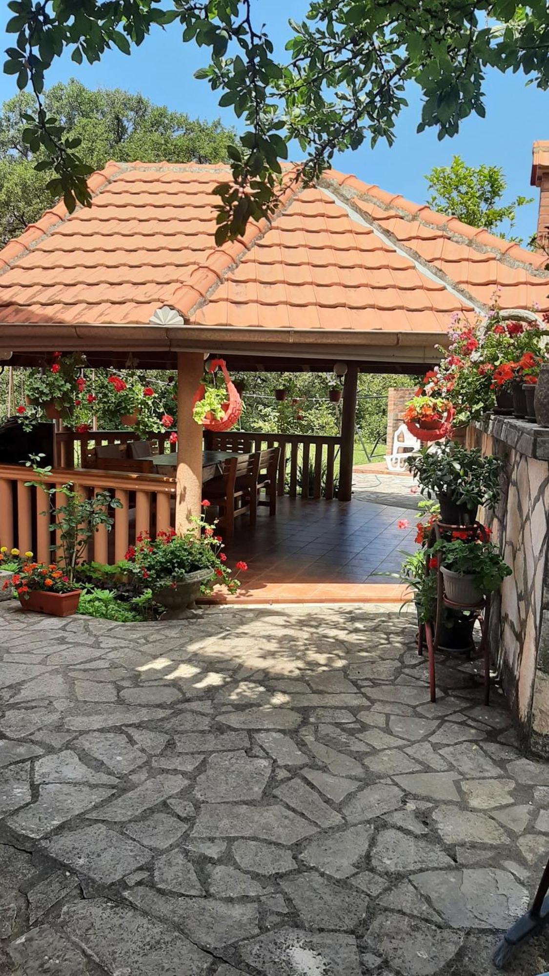 Apartmani "Dukic" Pelinovo Rom bilde