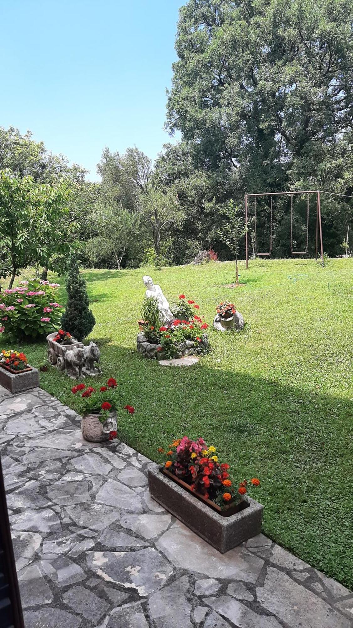 Apartmani "Dukic" Pelinovo Rom bilde