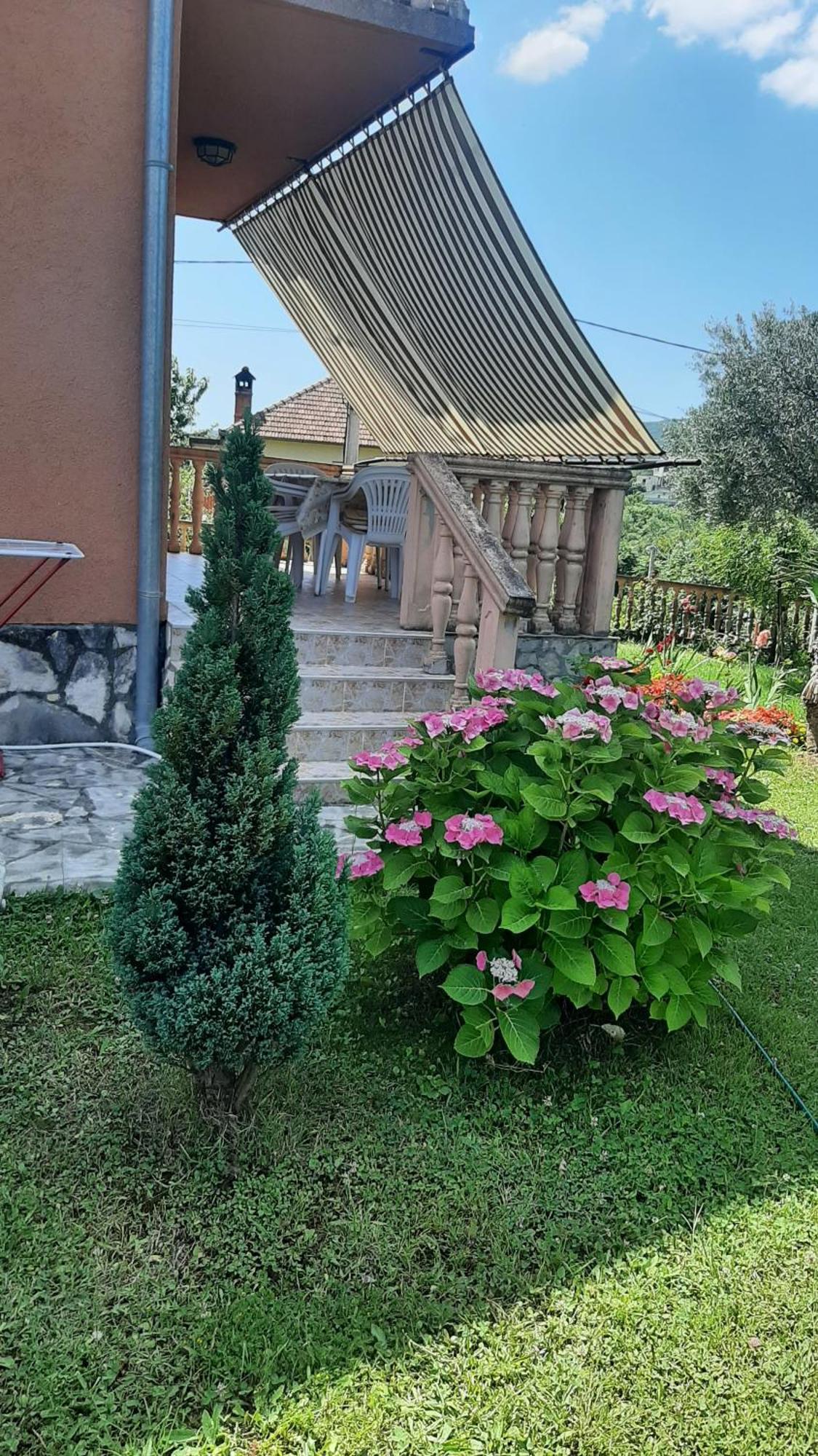 Apartmani "Dukic" Pelinovo Rom bilde