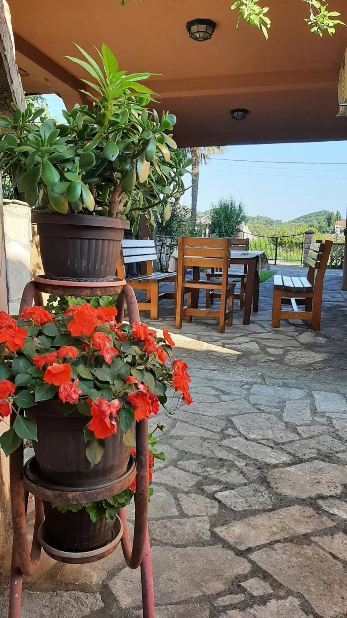 Apartmani "Dukic" Pelinovo Rom bilde